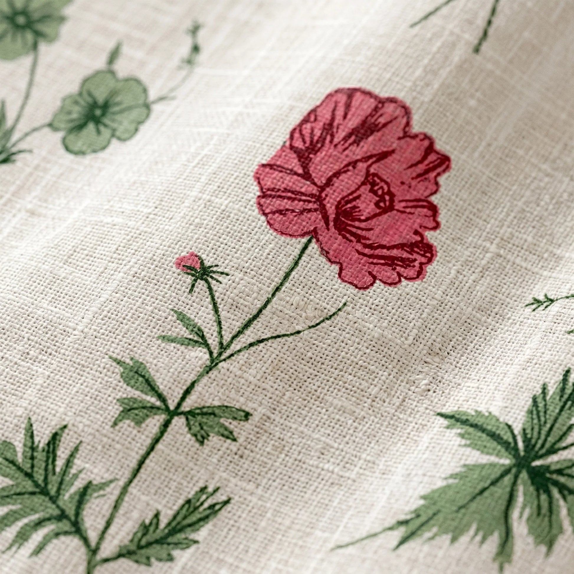 Imprimer Rosachic - Printed Sheer Curtain (Multicolor)-6