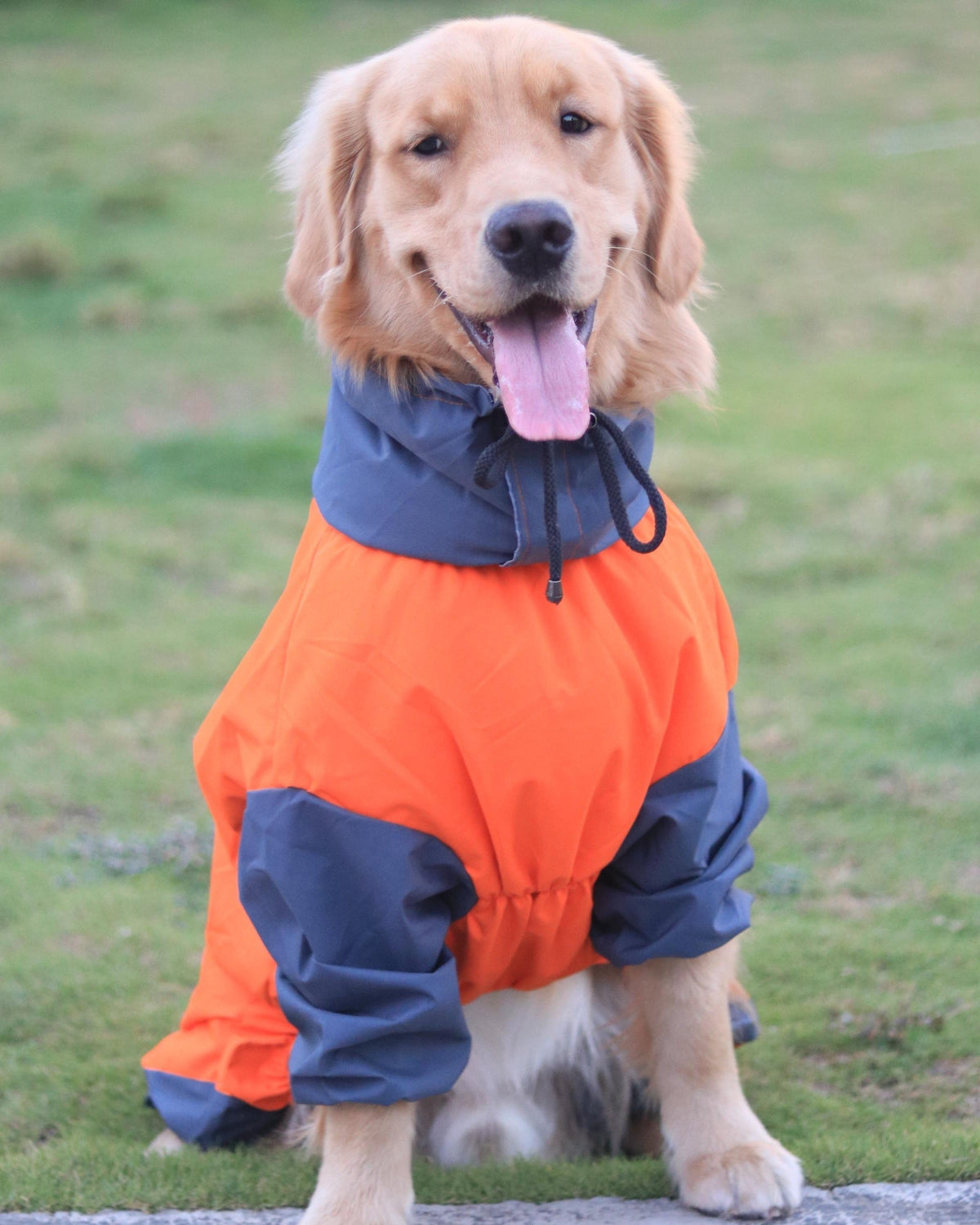 Full Body Jumpsuit Raincoat for Dogs - Waterproof & Windproof