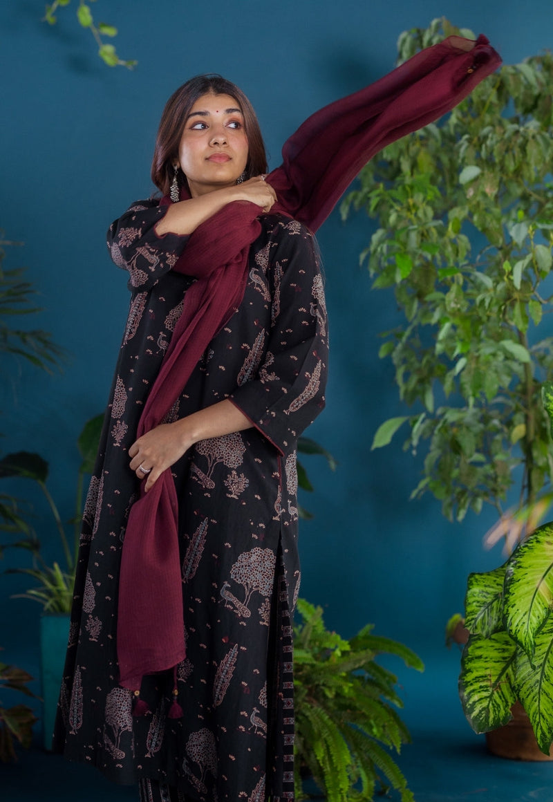 Prita Black Stripes Ajrakh Cotton Narrow Pant