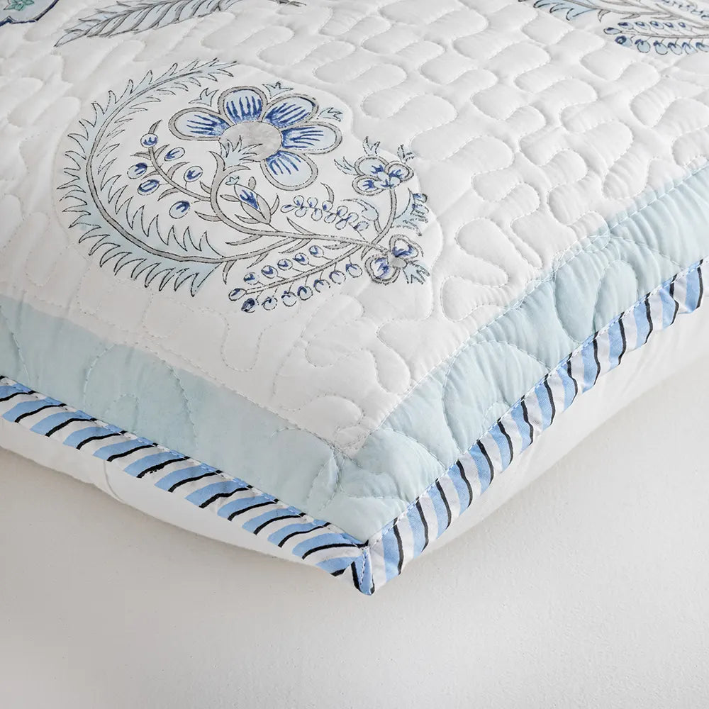 cushion