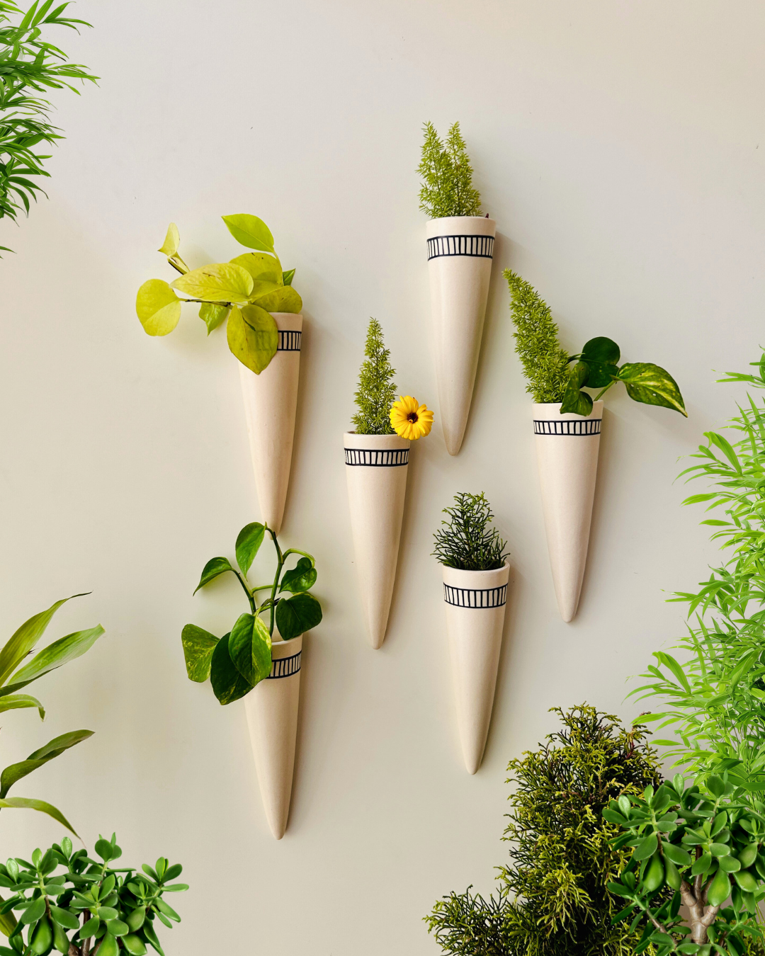 Ivory Ceramic Conical Planters | Set of 3 | Buy 3 get 3 offer applicable | Use code "GET6"
