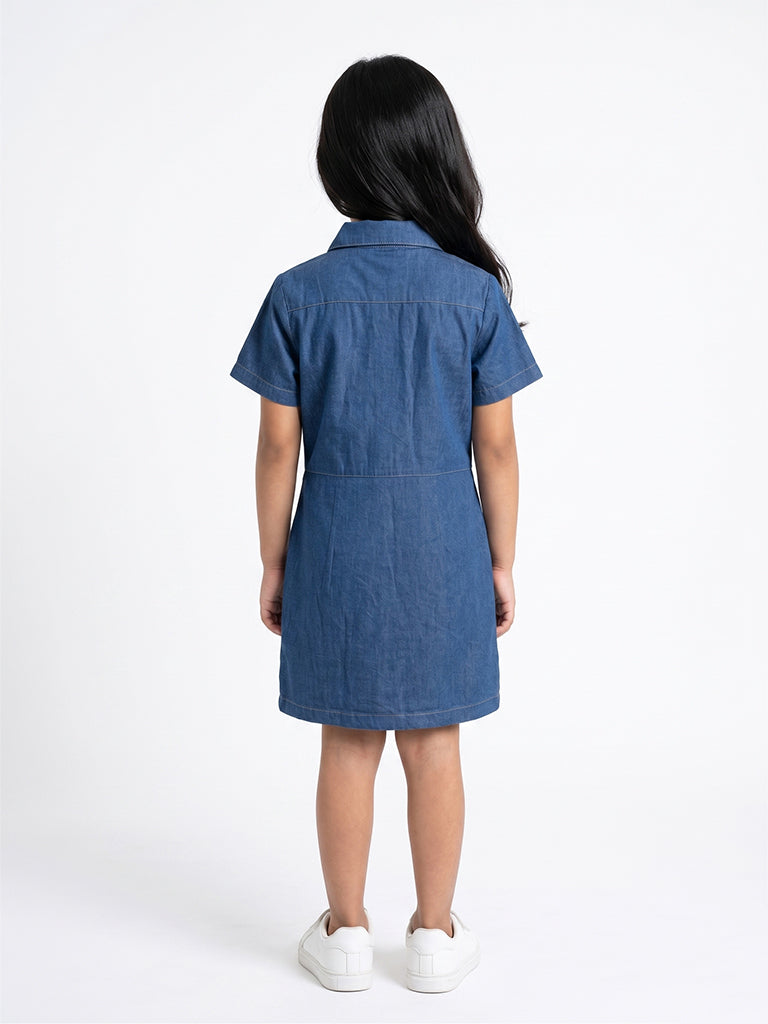 Pearl Stud Denim Shirt Dress