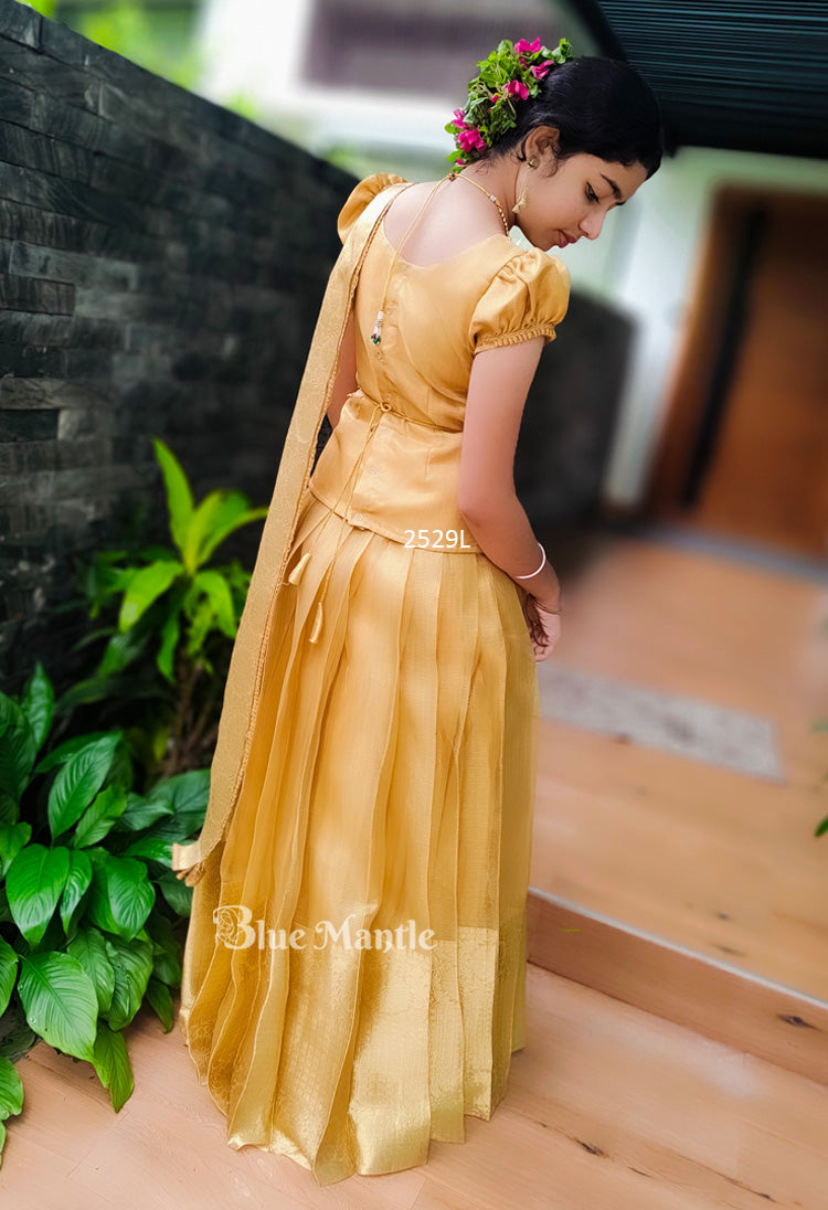 2529 -" Hiranyam" - Will send  In 6 Days