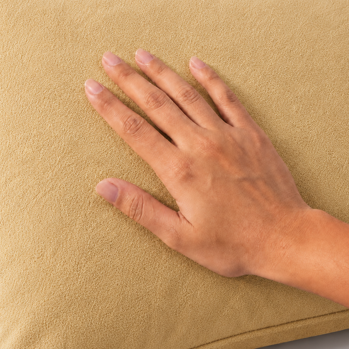 Terry Pillow Protector ( Beige )