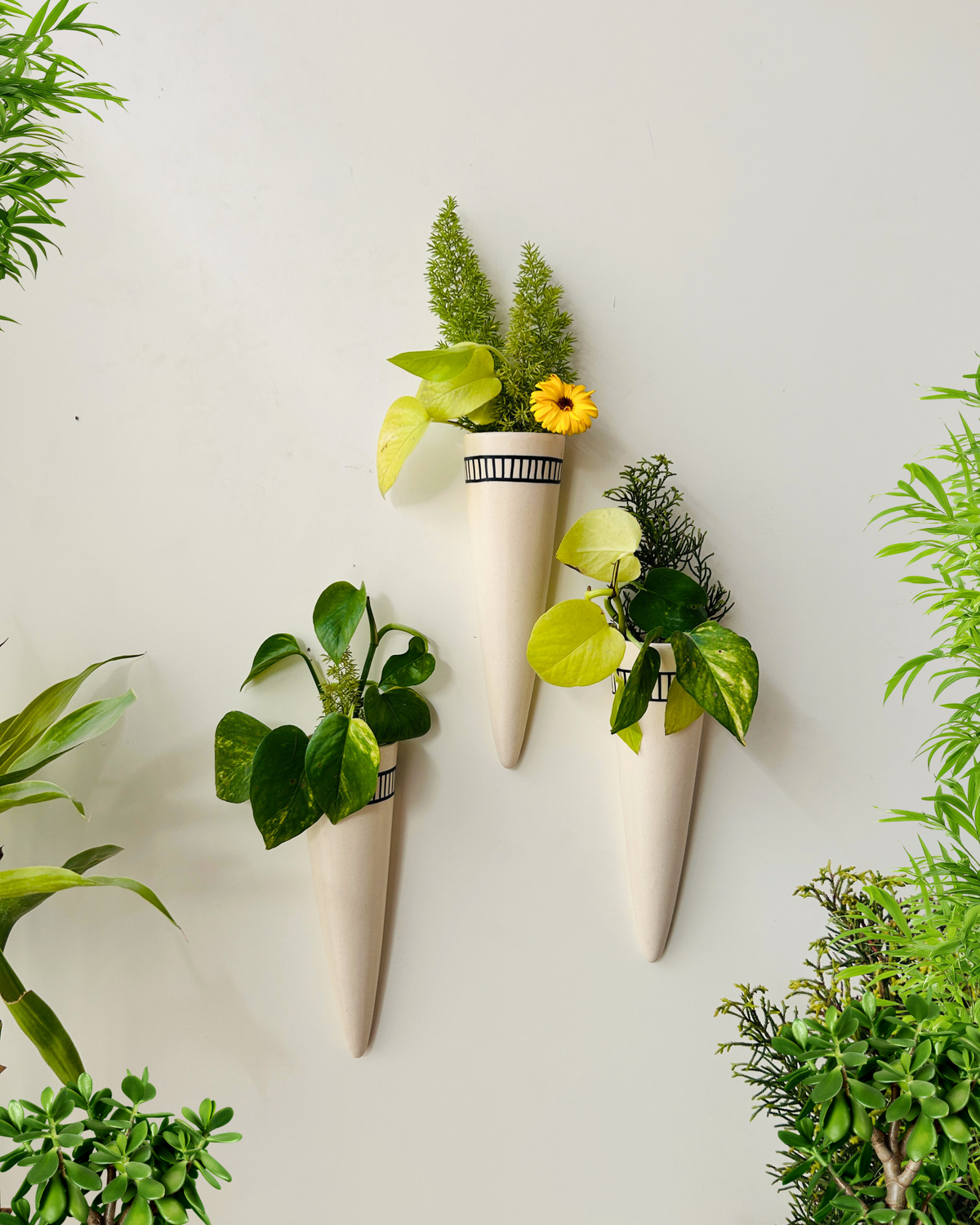 Ivory Ceramic Conical Planters | Set of 3 | Buy 3 get 3 offer applicable | Use code "GET6"