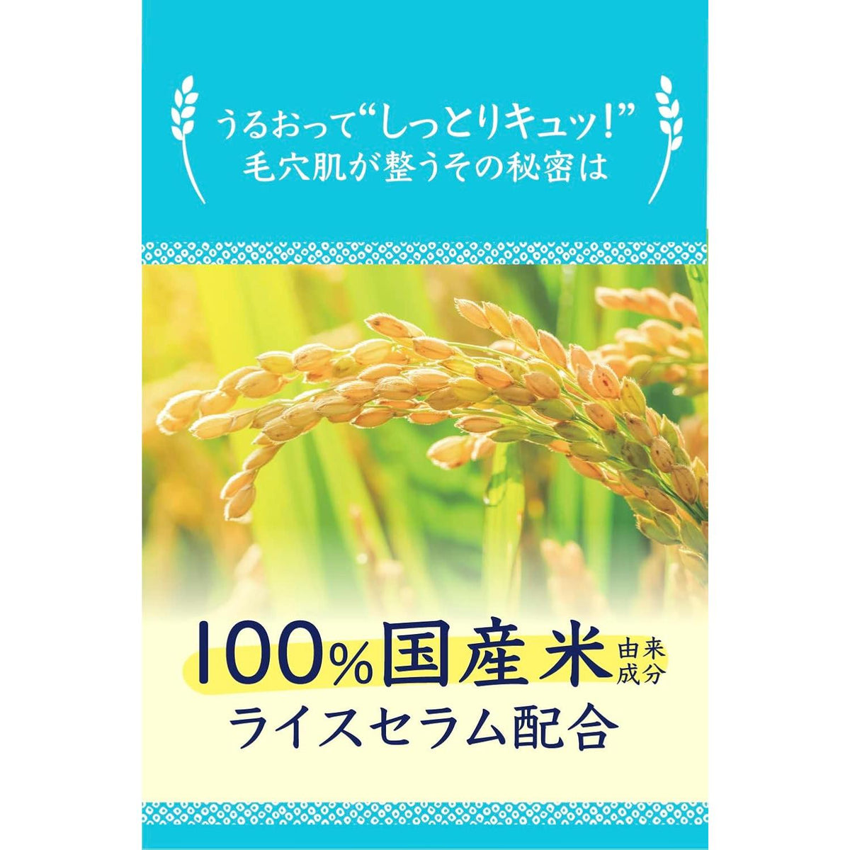 KEANA NADESHIKO RICE PACK 170GMS