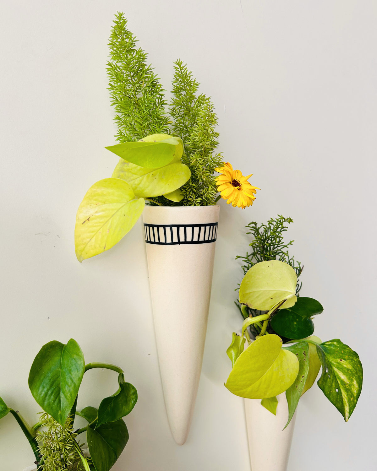 Ivory Ceramic Conical Planters | Set of 3 | Buy 3 get 3 offer applicable | Use code "GET6"
