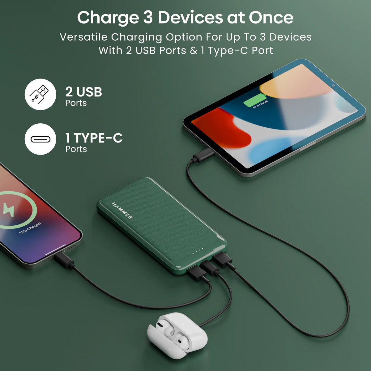 3 in 1 Power Bank