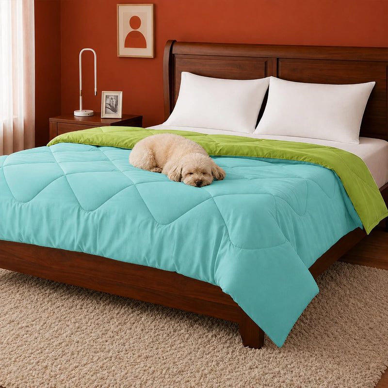Fort - Box Stitch Duvet Comforter (Parrot Green & Aqua Green)-4