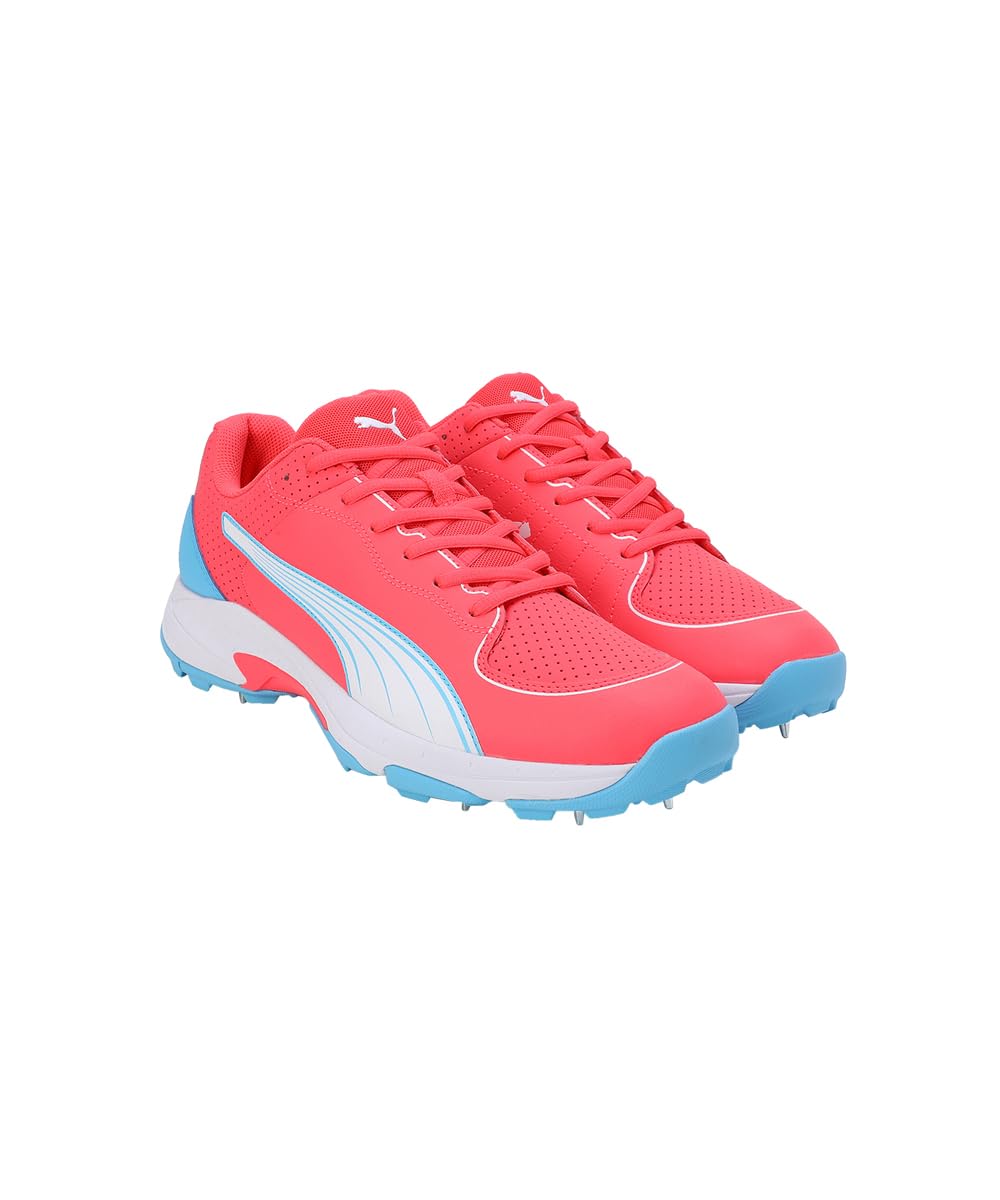 PUMA Spike 24.2 Cricket Shoes