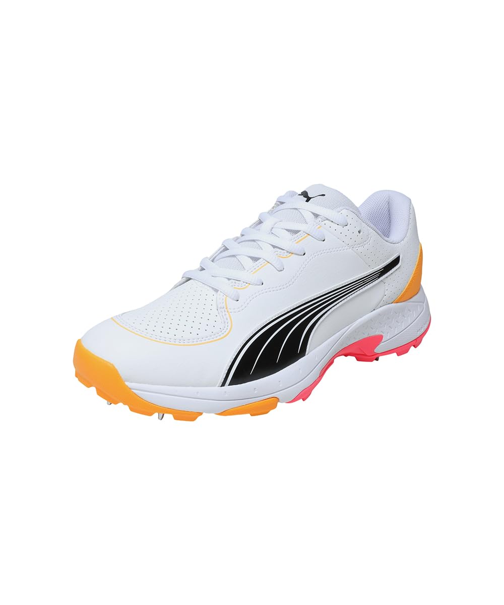 PUMA Spike 24.2 Cricket Shoes