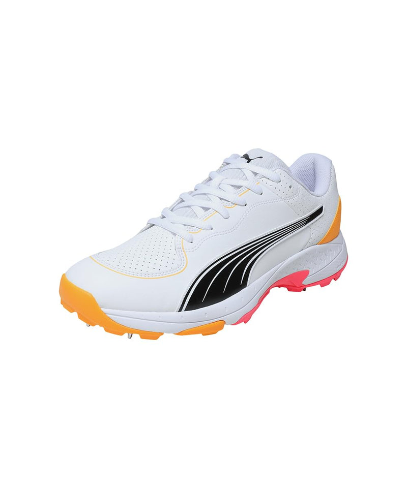 PUMA Spike 24.2 Cricket Shoes