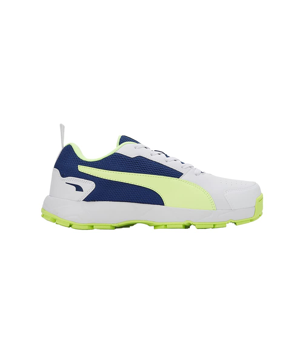 PUMA Cricket HighRun Cricket Shoes