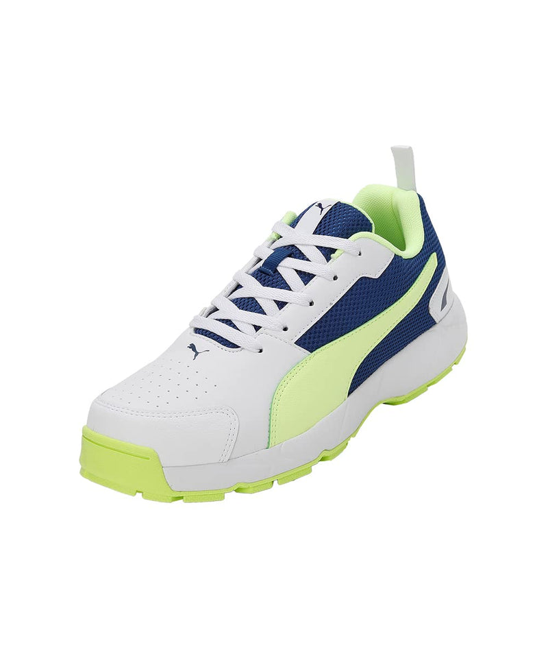 PUMA Cricket HighRun Cricket Shoes