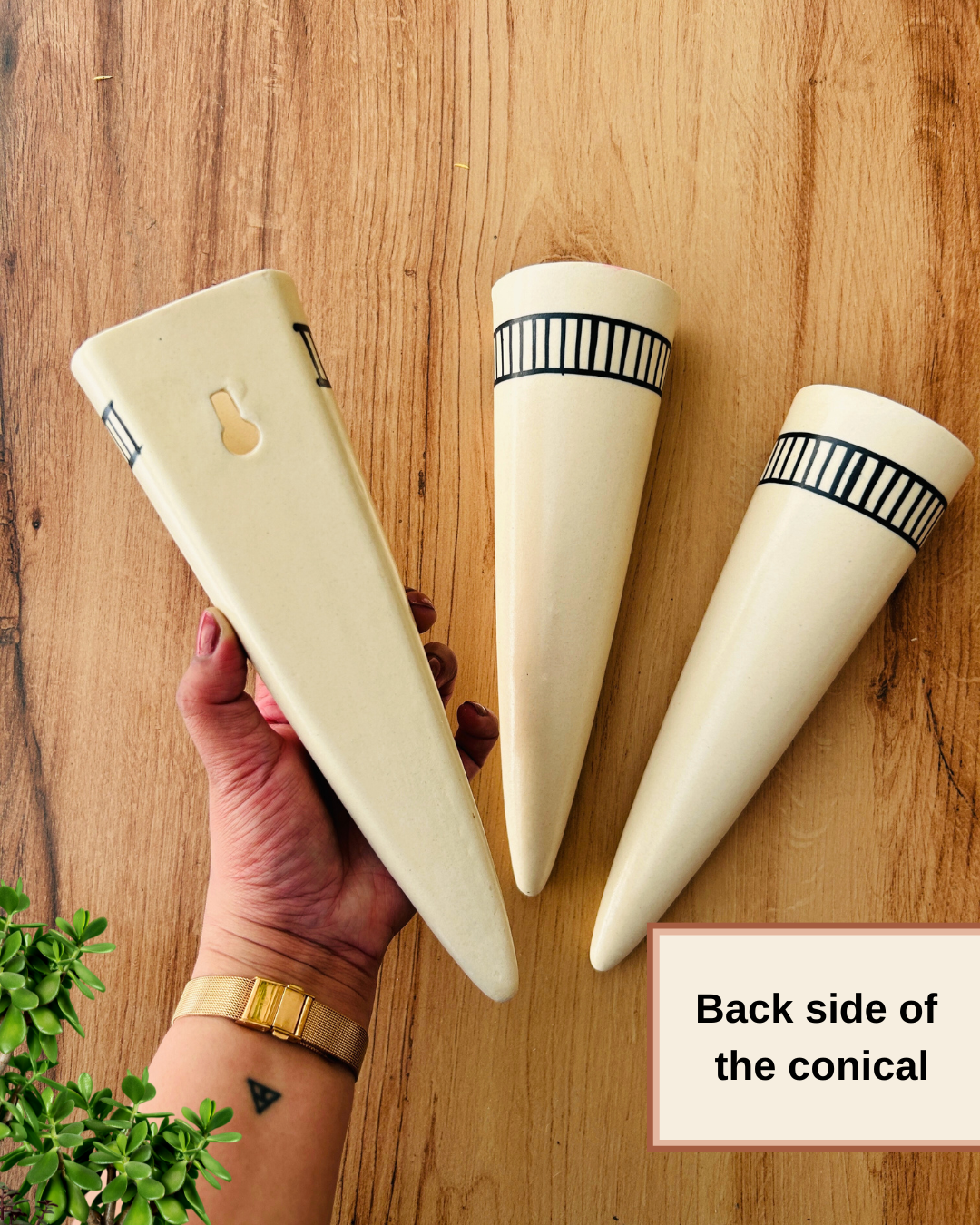 Ivory Ceramic Conical Planters | Set of 3 | Buy 3 get 3 offer applicable | Use code "GET6"