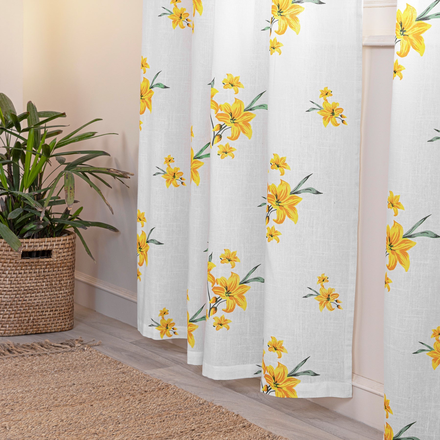 curtain