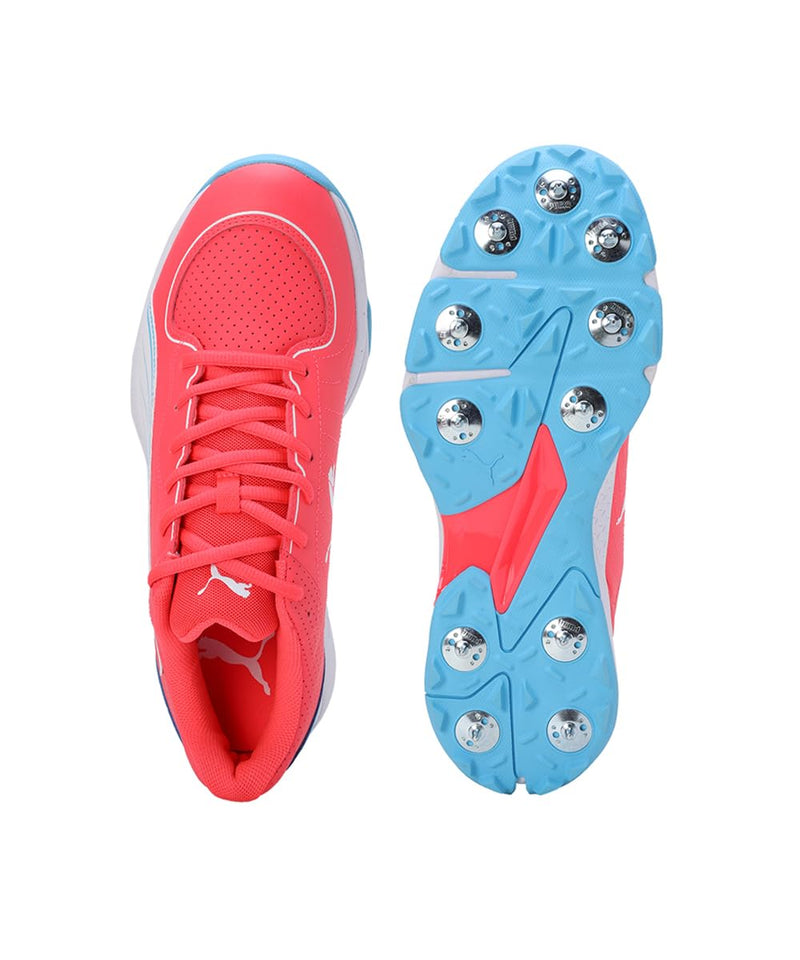 PUMA Spike 24.2 Cricket Shoes