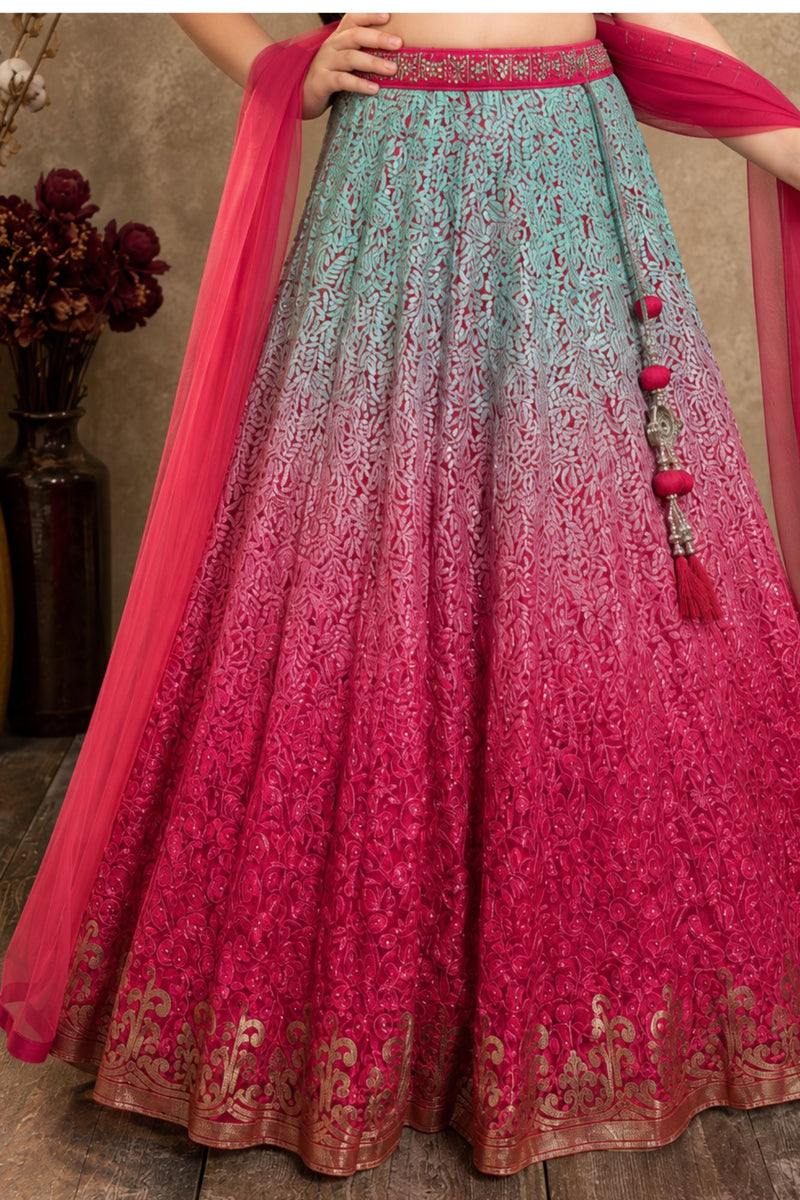 Pink and Aqua Mirror embroidered Lehenga Choli Set with Dupatta