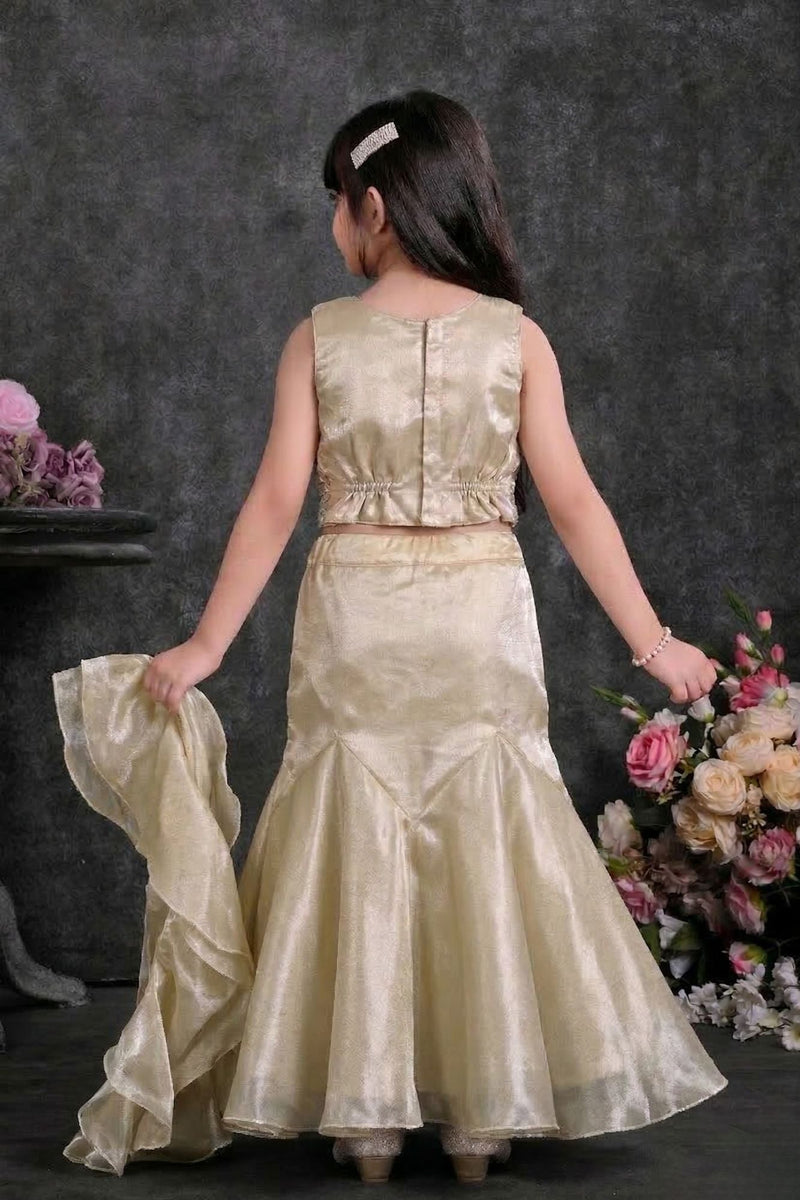 Fawn Sequin Embroidered Lehenga Choli Set For Girls
