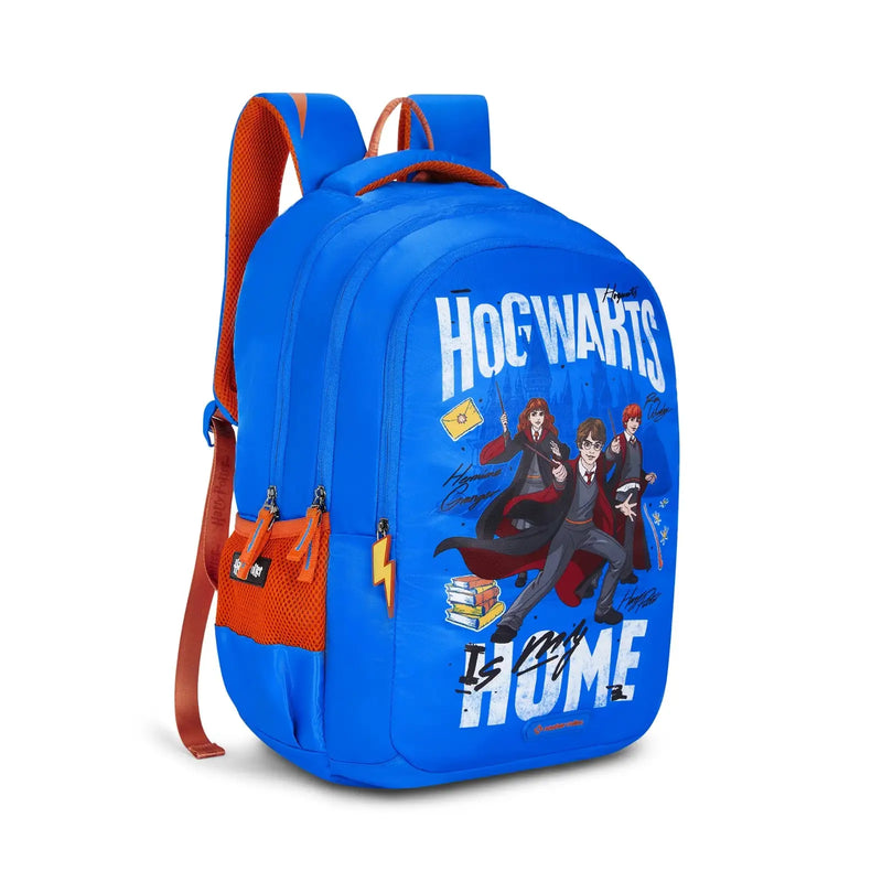 Home Hogwarts-1