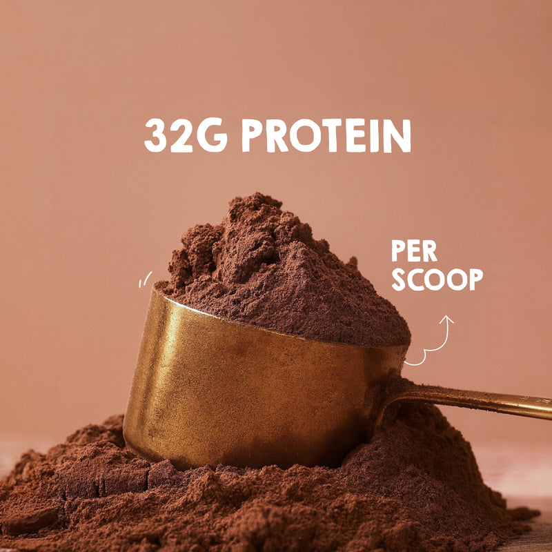 Chocolate Whey Protein Isolate
