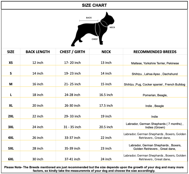 Dinosaur-Themed Full Body Raincoat for Dogs with Tail Covering | Waterproof & Windproof