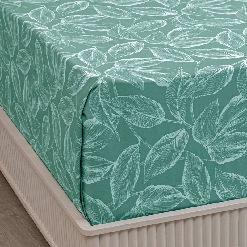 Bedsheet