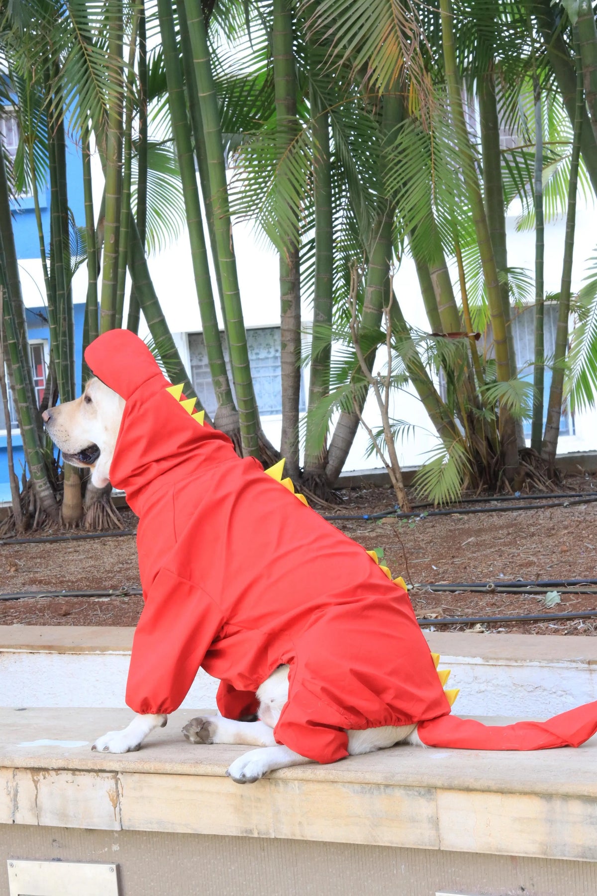 Dinosaur-Themed Full Body Raincoat for Dogs with Tail Covering | Waterproof & Windproof