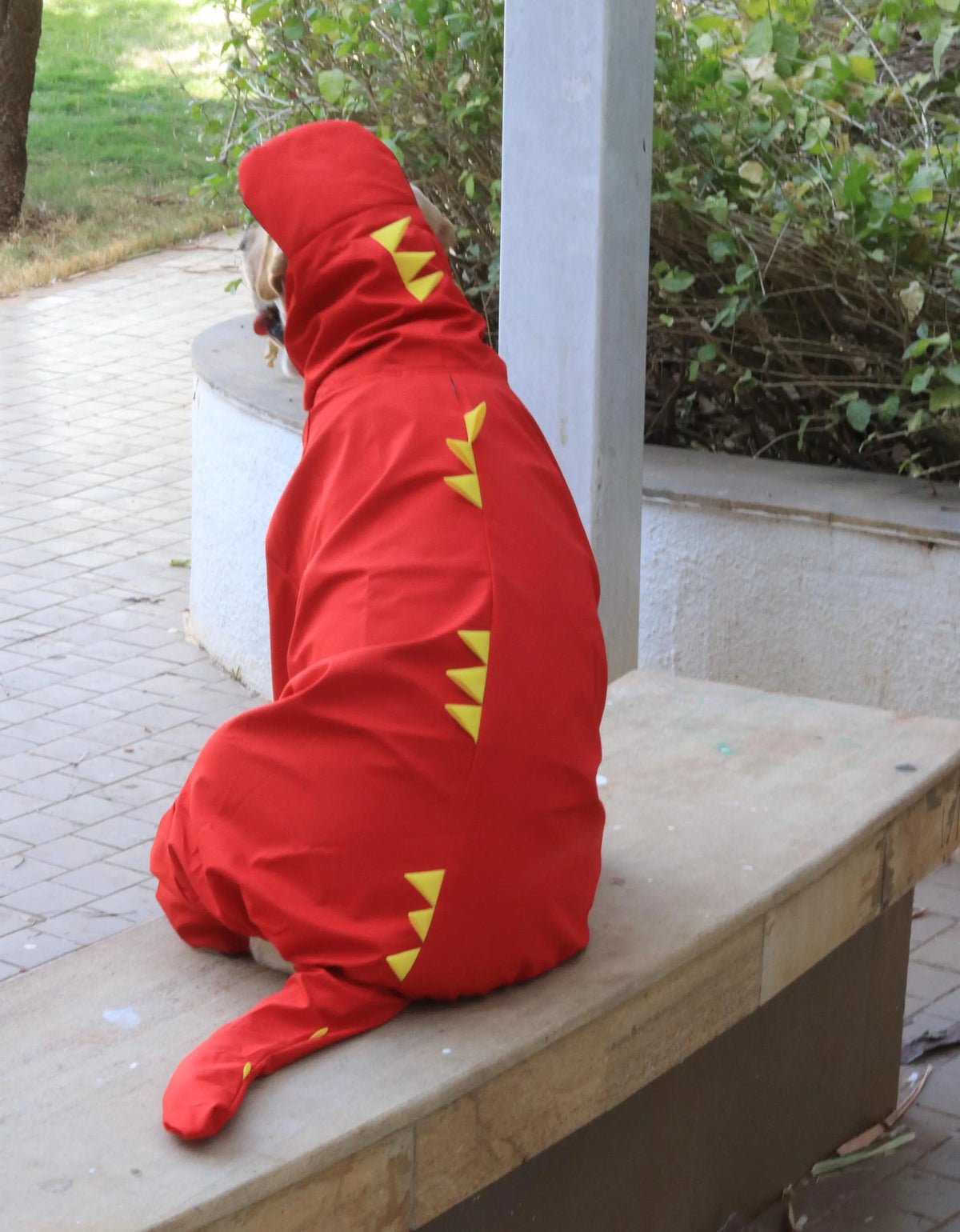 Dinosaur-Themed Full Body Raincoat for Dogs with Tail Covering | Waterproof & Windproof