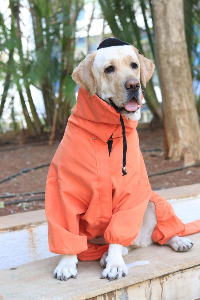 Dinosaur-Themed Full Body Raincoat for Dogs with Tail Covering | Waterproof & Windproof
