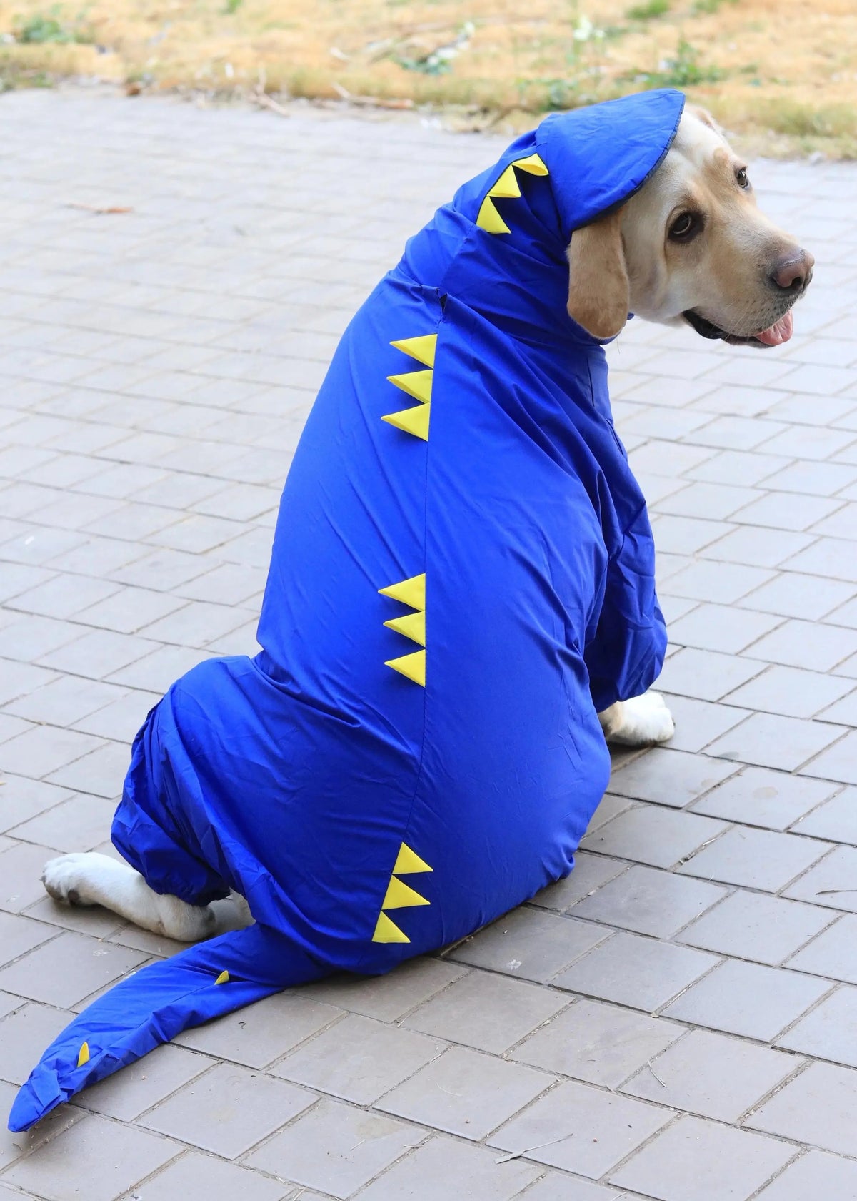 Dinosaur-Themed Full Body Raincoat for Dogs with Tail Covering | Waterproof & Windproof