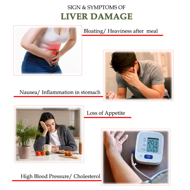 Hindrishi Wellness Combo-6