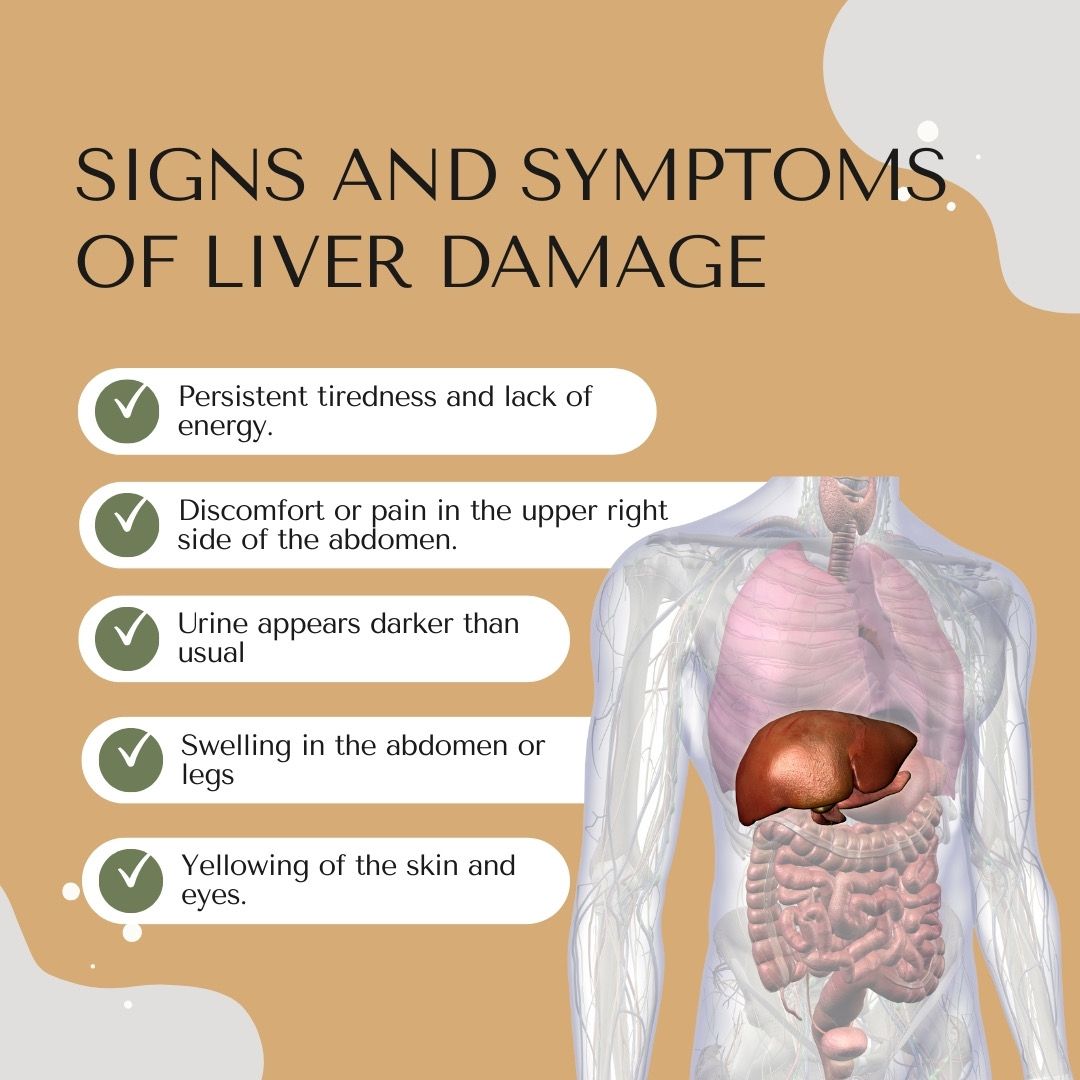 Hindrishi Liv-reviv Capsules-3