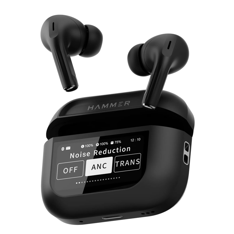 Premium Display Earbuds