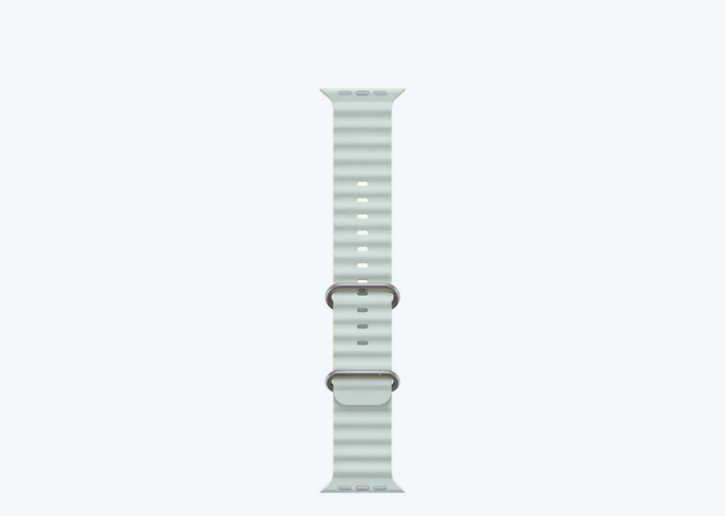 Succulent Grey-3