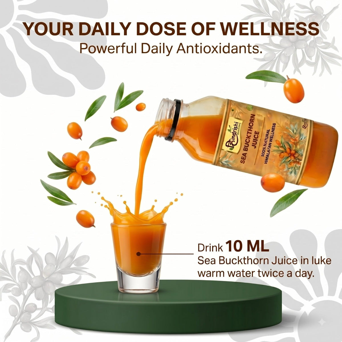 Hindrishi Sea Buckthorn Juice-9