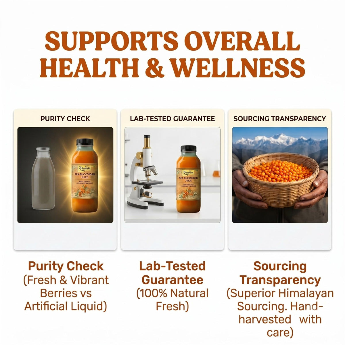 Hindrishi Sea Buckthorn Juice-8