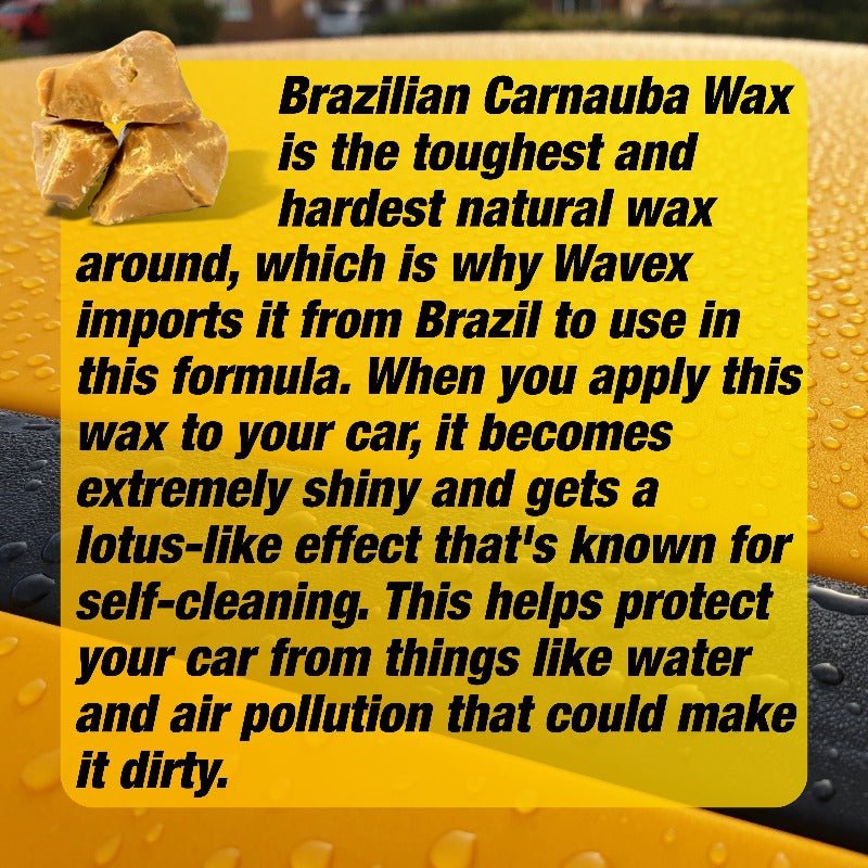 CARNAUBA WAX