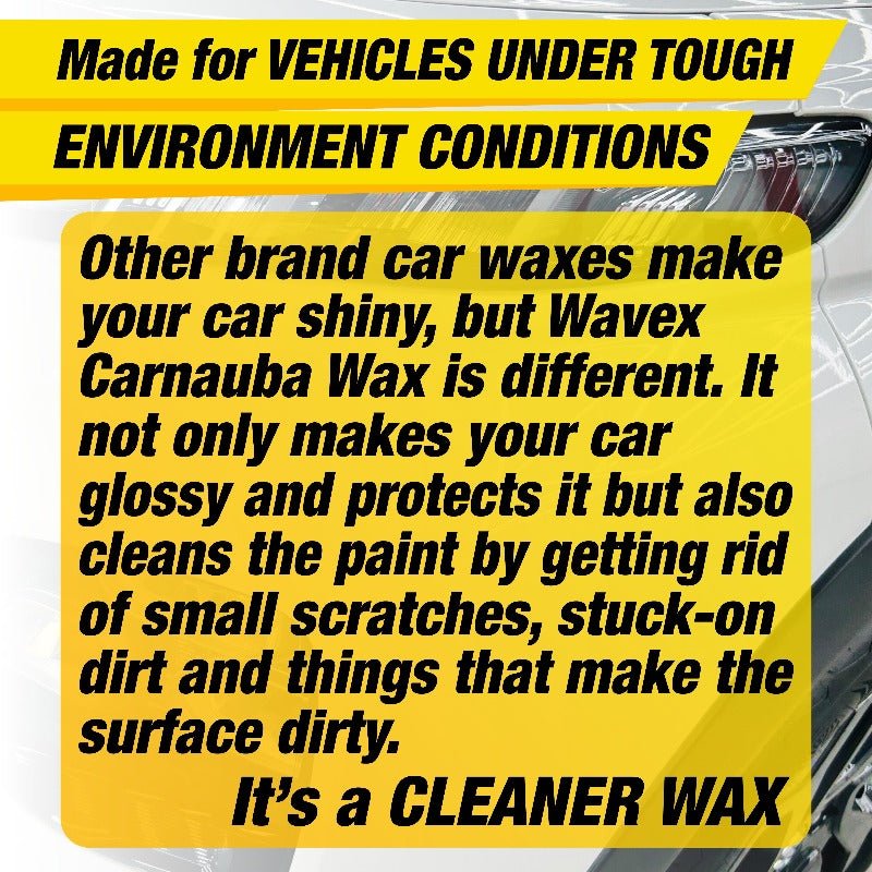 CARNAUBA WAX