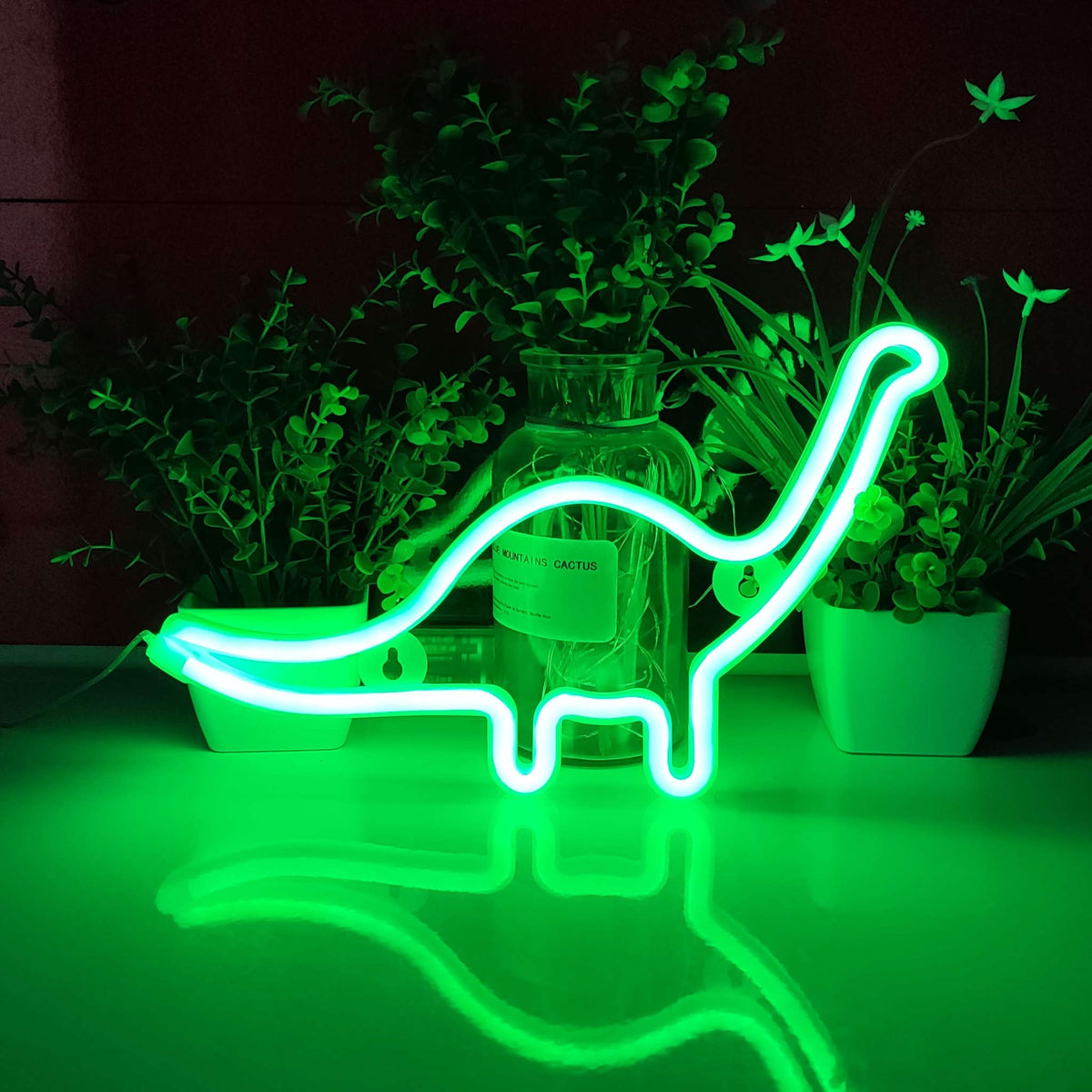 Dinosaur Neon Signs (16x10 inches) Neonsignsindia