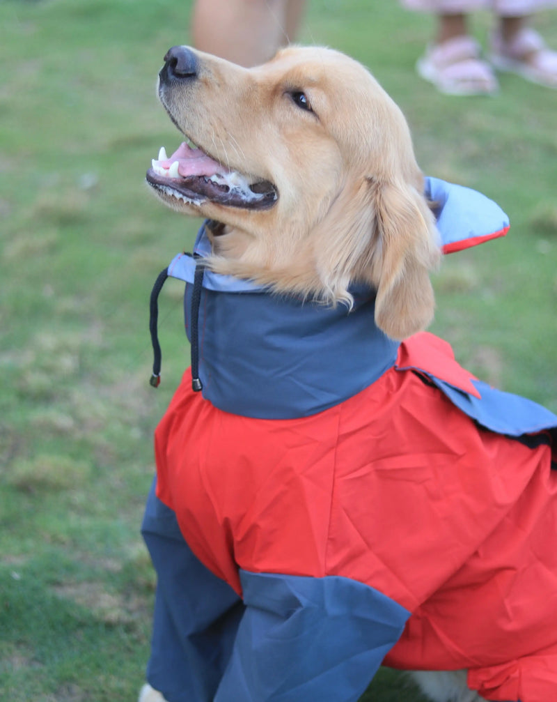 Full Body Jumpsuit Raincoat for Dogs - Waterproof & Windproof