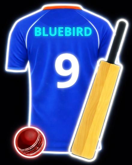 BLUEBIRD Cricket 3*2.3ft-1