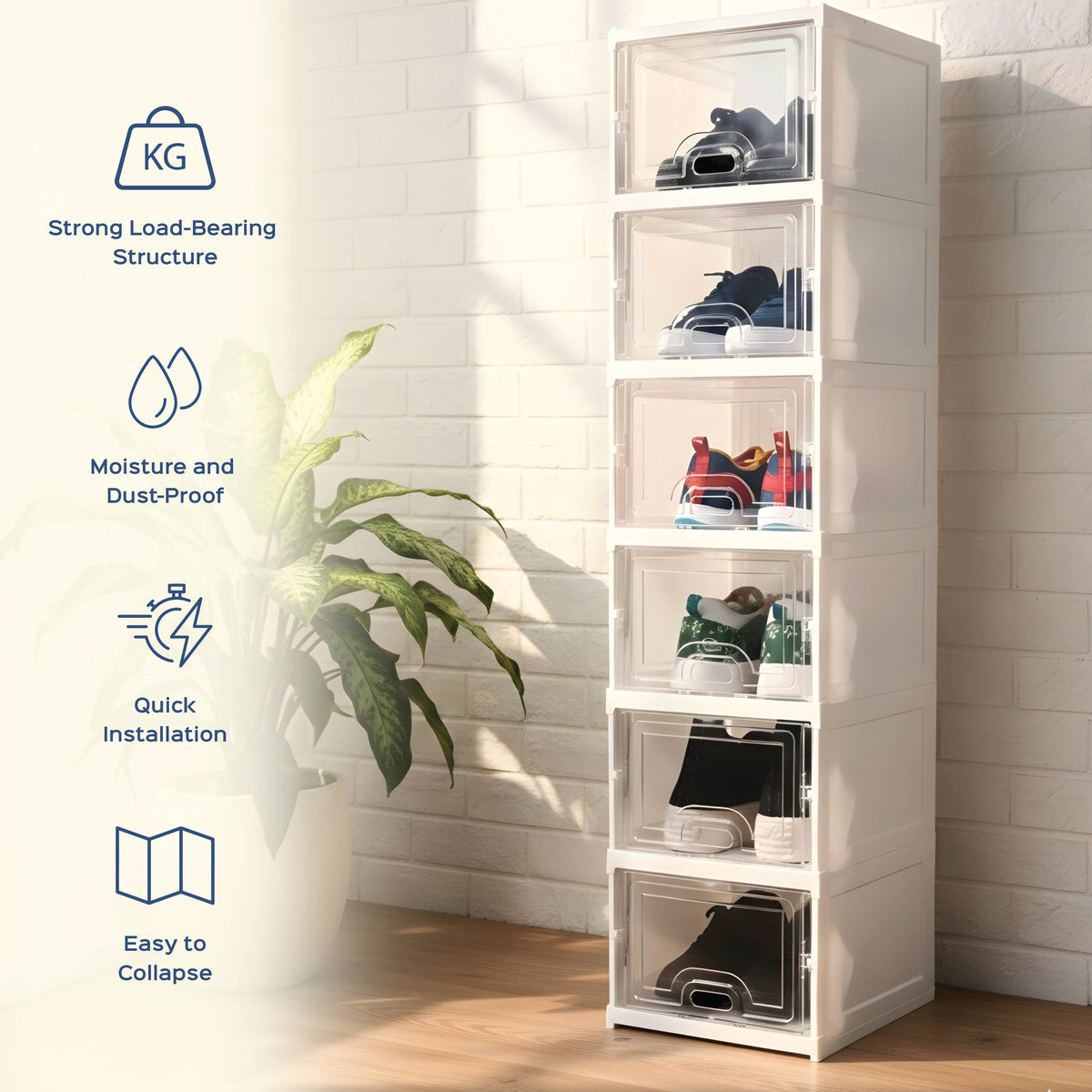 6 Layer Sneaker Pair Box Organizer