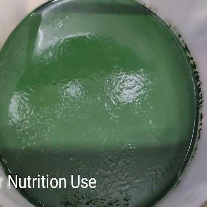 Spirulina Fertilizer – Growing Nutrition for Algae Cultivation